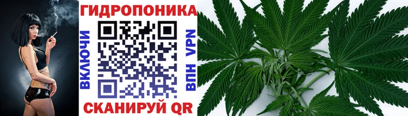 Купить наркоту Новодвинск ГАШ КОКАИН Alpha PVP Галлюциногенные грибы МЕФ
