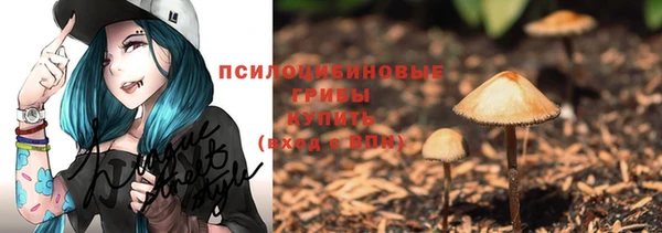 молекула духа Алексин