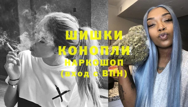 молекула духа Алексин