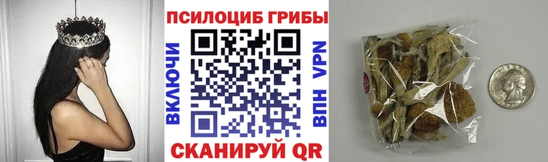Галлюциногенные грибы Psilocybine cubensis  Новодвинск 