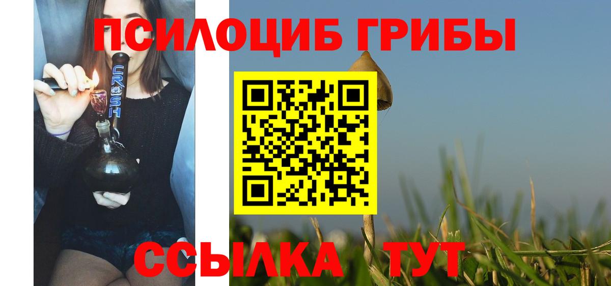 Псилоцибиновые грибы ЛСД Новодвинск